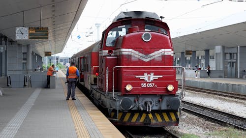 A Train Arriving at the Station 