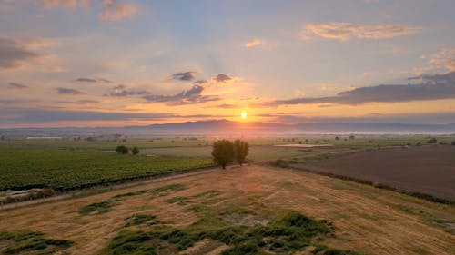Drone View over Farm Fields at Sunrise 