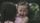 crying child
