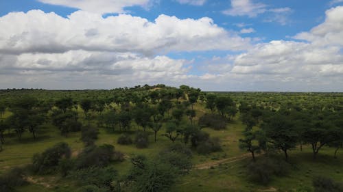 Clouds over Plains