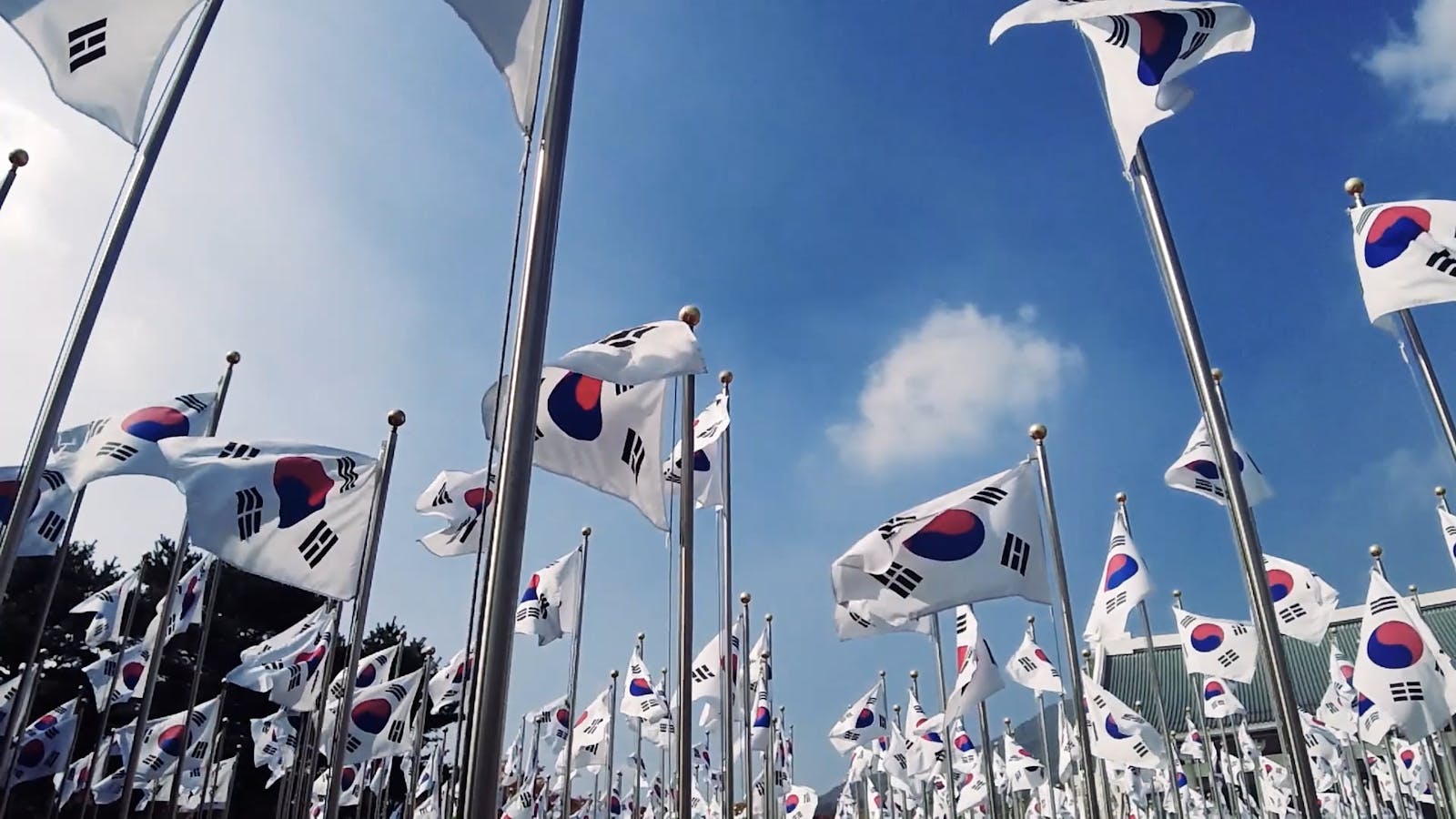 Korean Flags Videos, Download The BEST Free 4k Stock Video Footage
