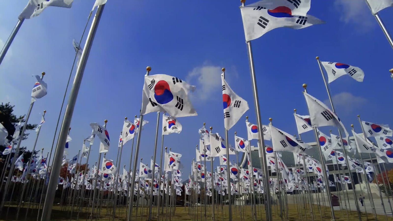 Korean Flags Videos, Download The BEST Free 4k Stock Video Footage