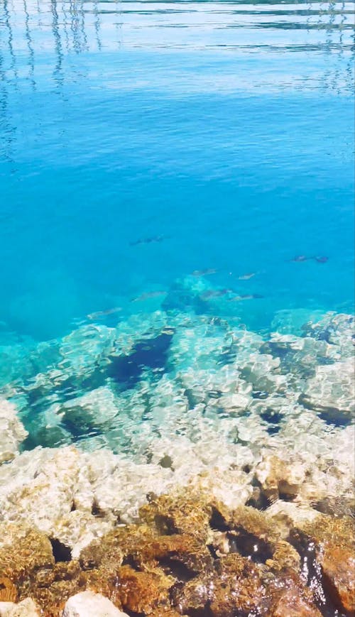 Clear Water on the Ocean