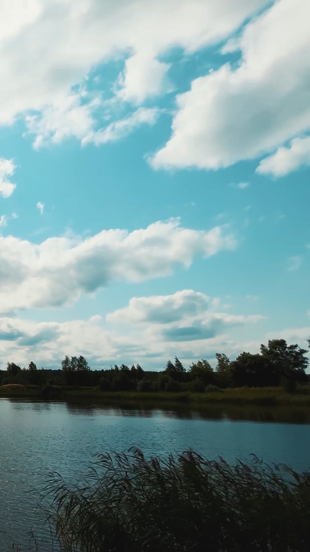 Video by Dmitry Marchenkov