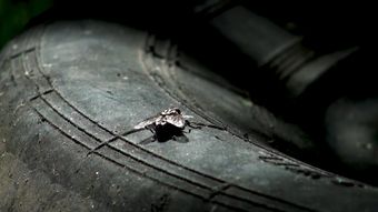 轮胎检测视频素材