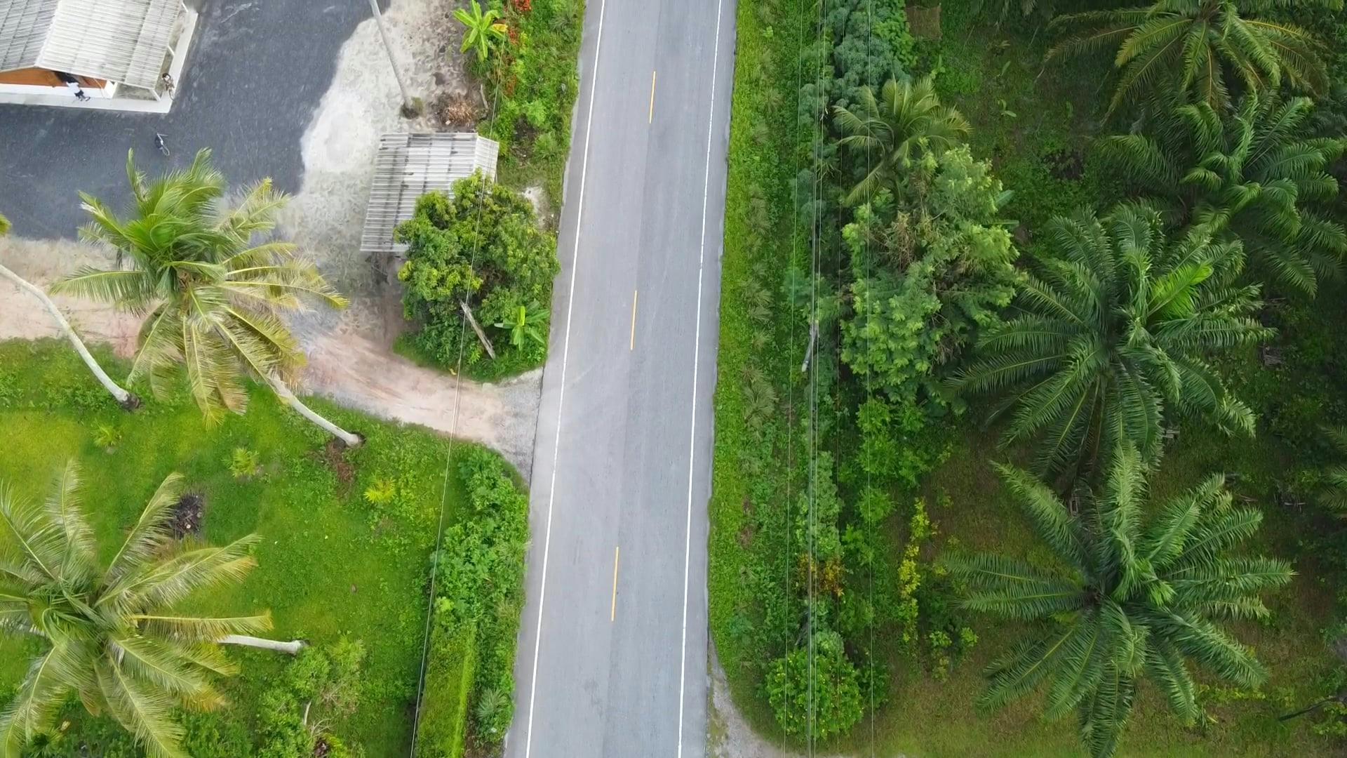 Video by naratip sretan