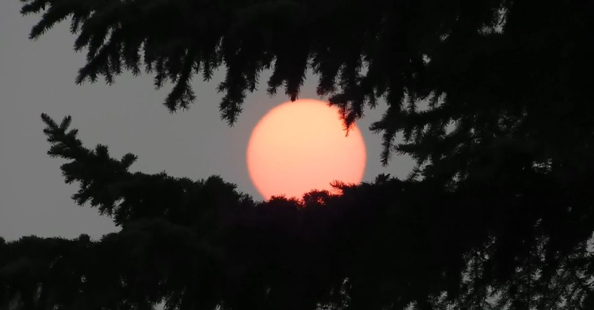 Rubescent Sun Beautiful Red Sun · Free Stock Video