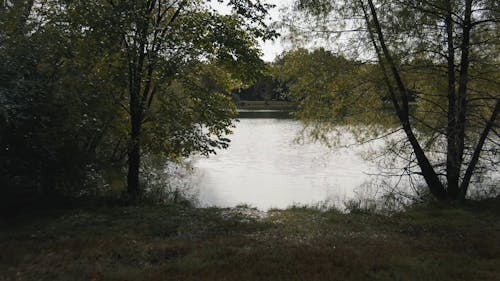 Drone Video of a Lake in a Park 