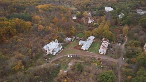 Village in Forest