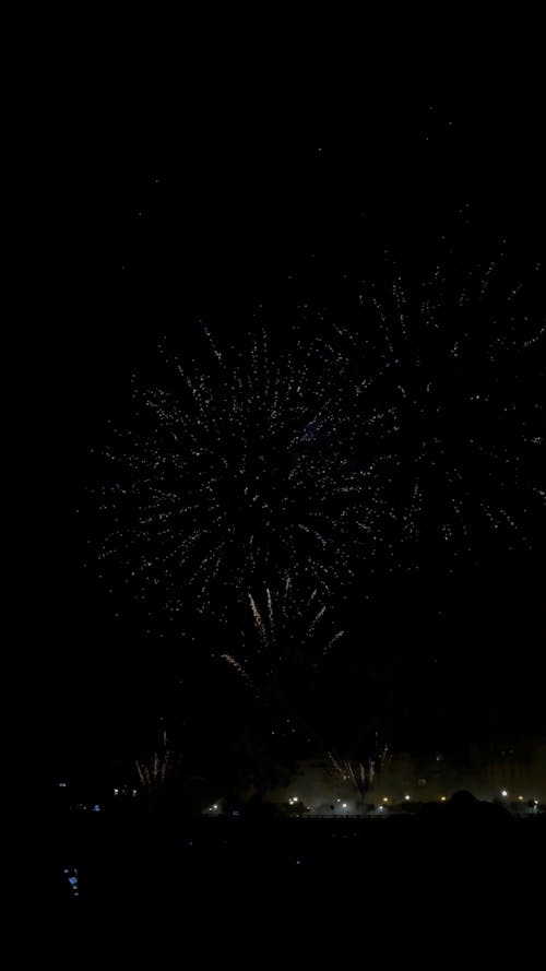 Fireworks against a Dark Night Sky