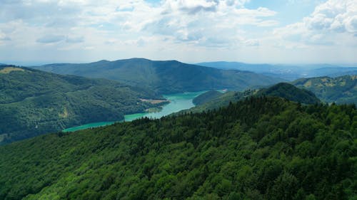 Lake and Trees on Mountains