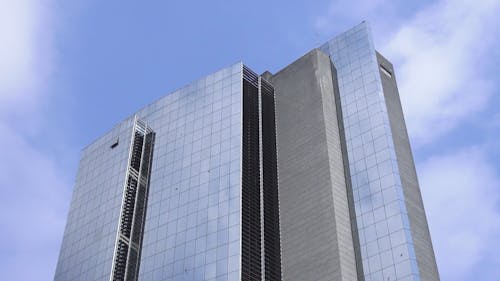 Birds Flying around Building