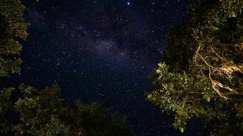 Time Lapse of a Starry Night Sky