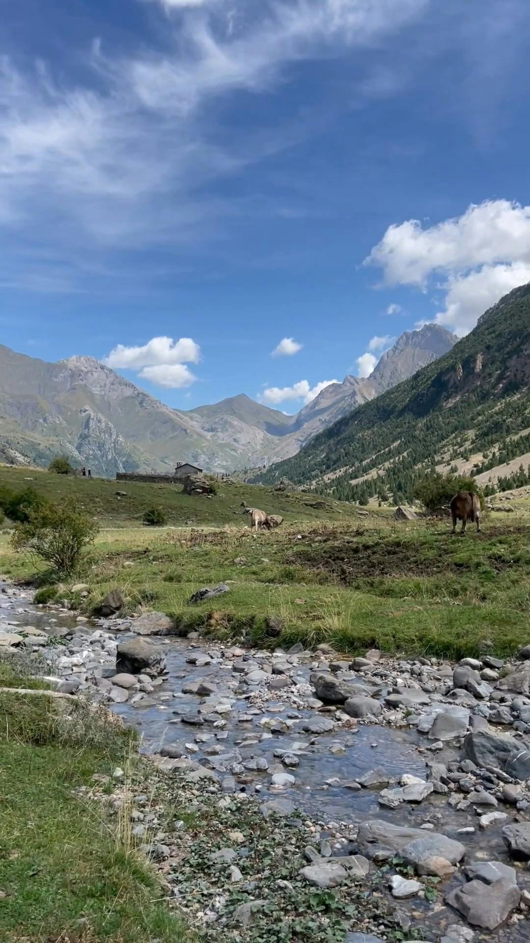 Video by Petra Nesti