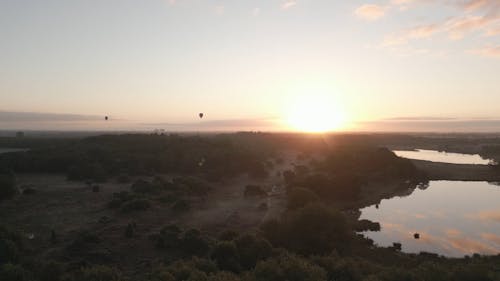 Drone Footage of Hot Air Balloons Flying at Sunrise