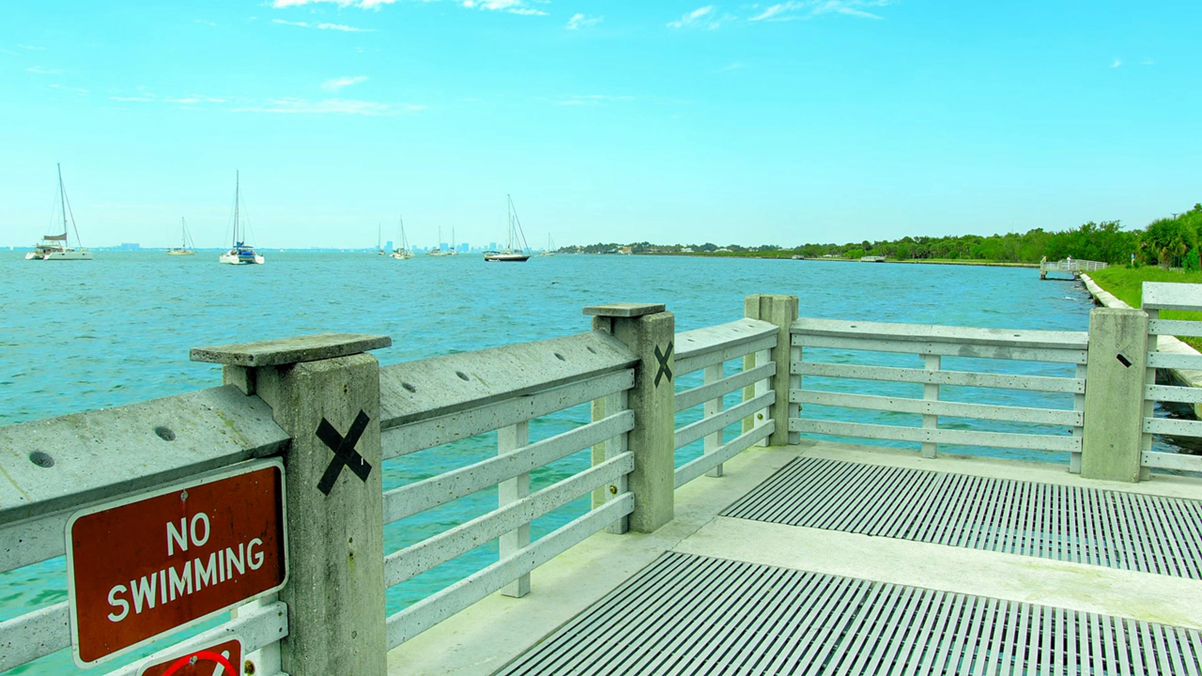 A Heron Landing on a Pier Free Stock Video Footage, RoyaltyFree 4K
