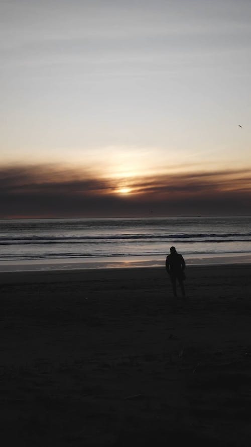 Silhouette of Person on Beach in Evening