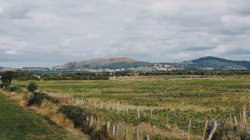 Moody Sky over Field