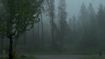 雨景视频素材