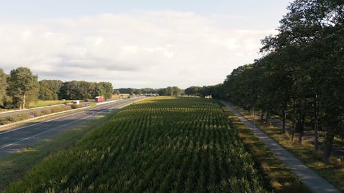 Agricultural Field by Highway