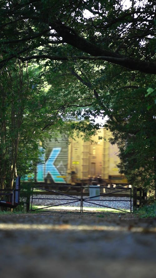 A Cargo Train Passing by a Rural Gate 