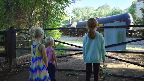 Children Watching a Cargo Train Passing by 