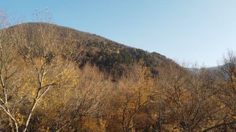 香山视频素材