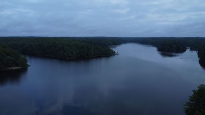 Drone Footage Of River In The Forest Free Stock Video Footage, Royalty ...