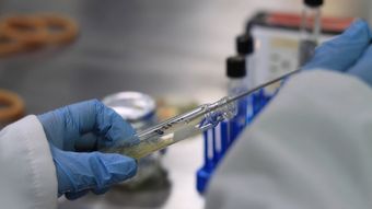 实验室免费下载免费下载高清视频视频素材