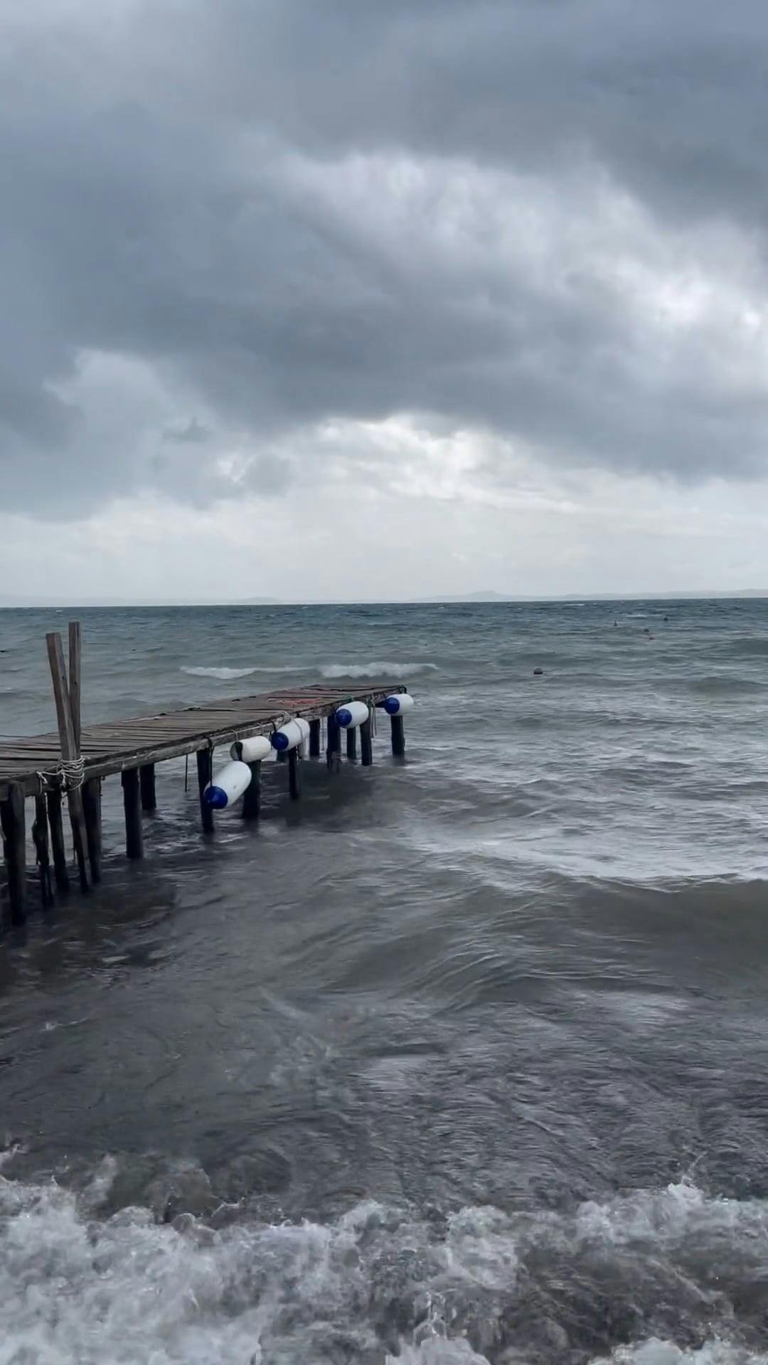 Video by Alessandro  Paci