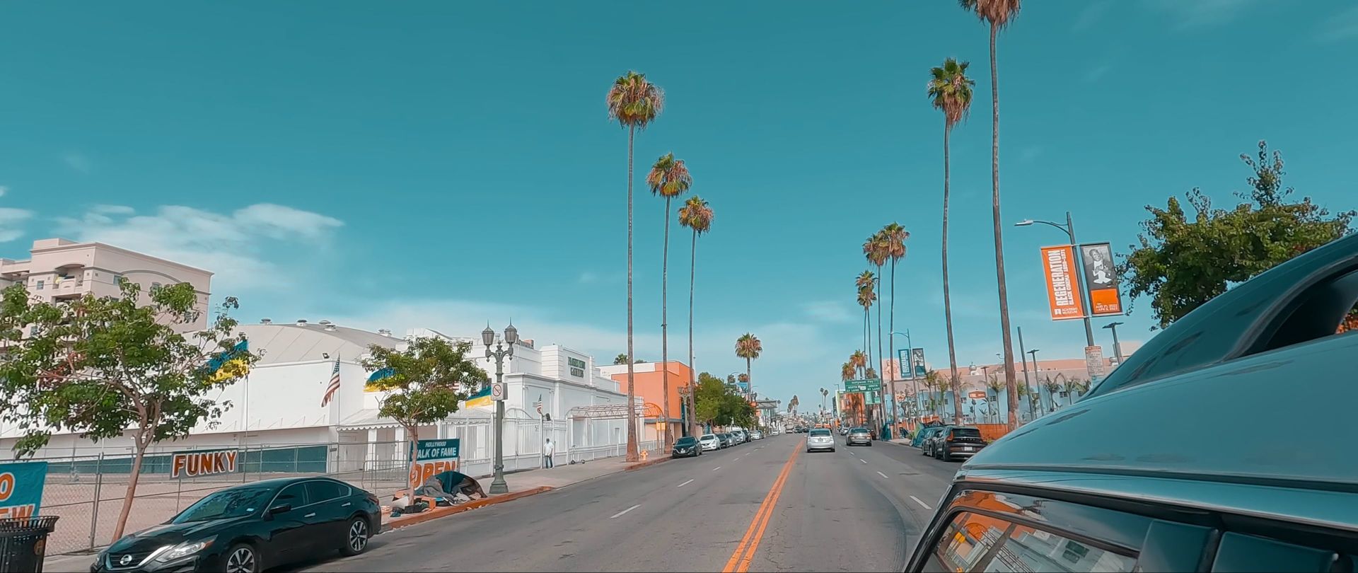 Driving a palm-lined street in Los Angeles