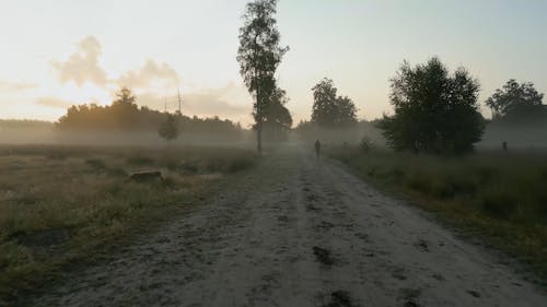 Person on Footpath in Morning