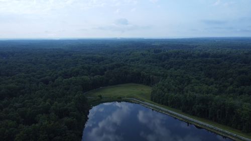 Breathtaking Aerial View of Vast Green Forest Free Stock Video Footage ...