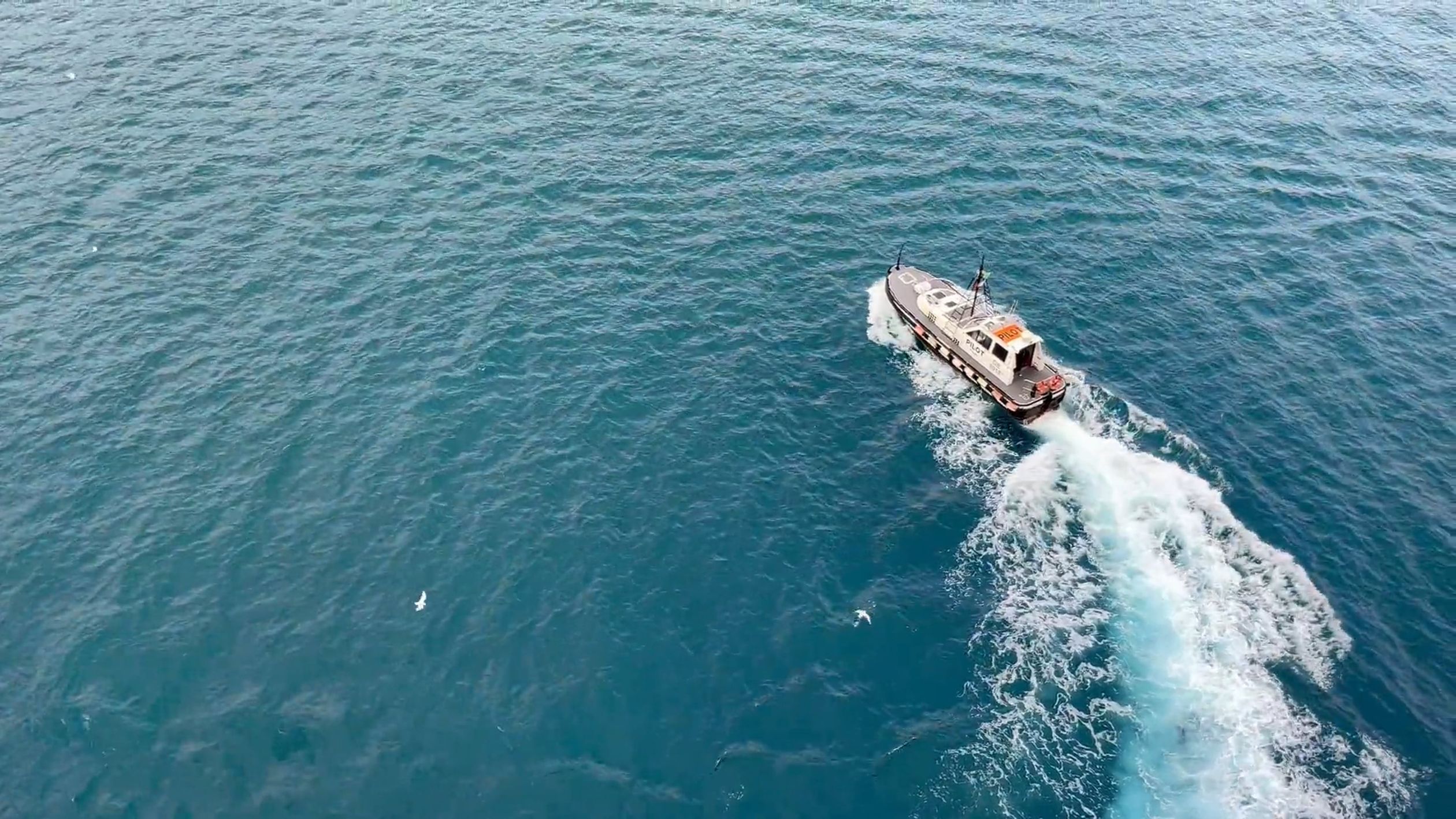 Motorboat on Sea Free Stock Video Footage, Royalty-Free 4K & HD Video Clip