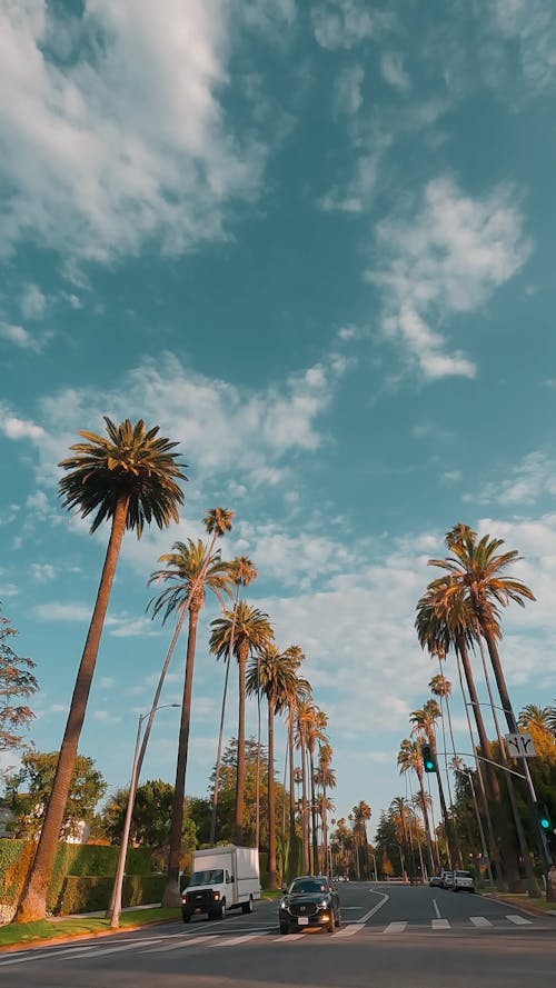 Beverly Hills Videos, Download The BEST Free 4k Stock Video Footage ...