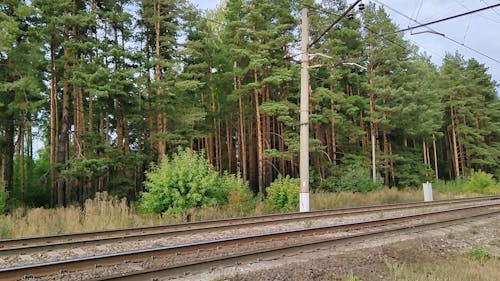 Travelling Freight Train