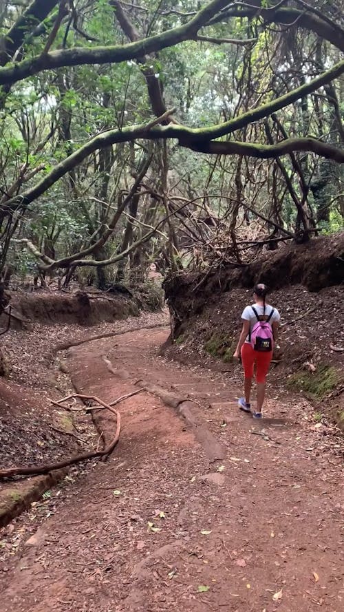 Woman Hiking in Forest