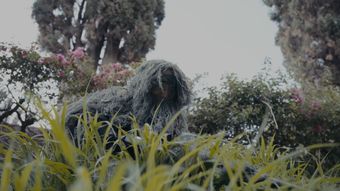 战争素材免费下载视频素材
