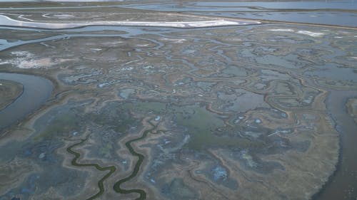 Drone Footage of a Coastal Wetland 