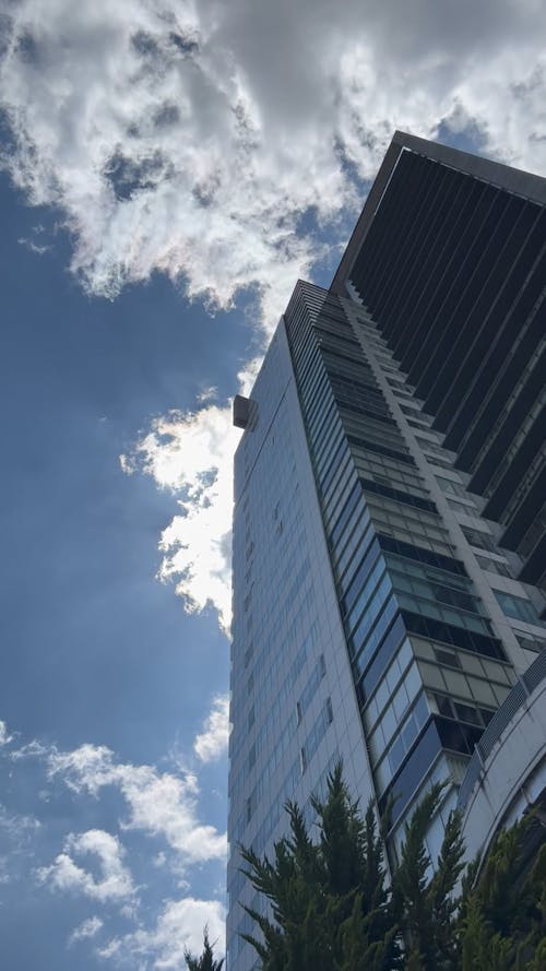 Modern Skyscraper in City