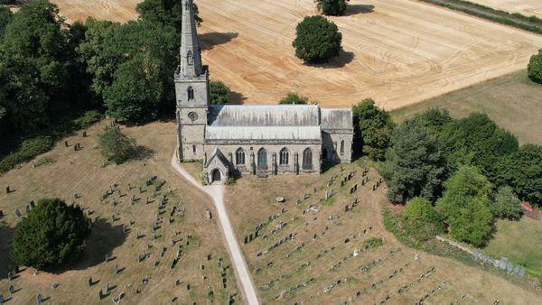 An aerial view of a tree in a field Free Stock Video Footage, Royalty ...