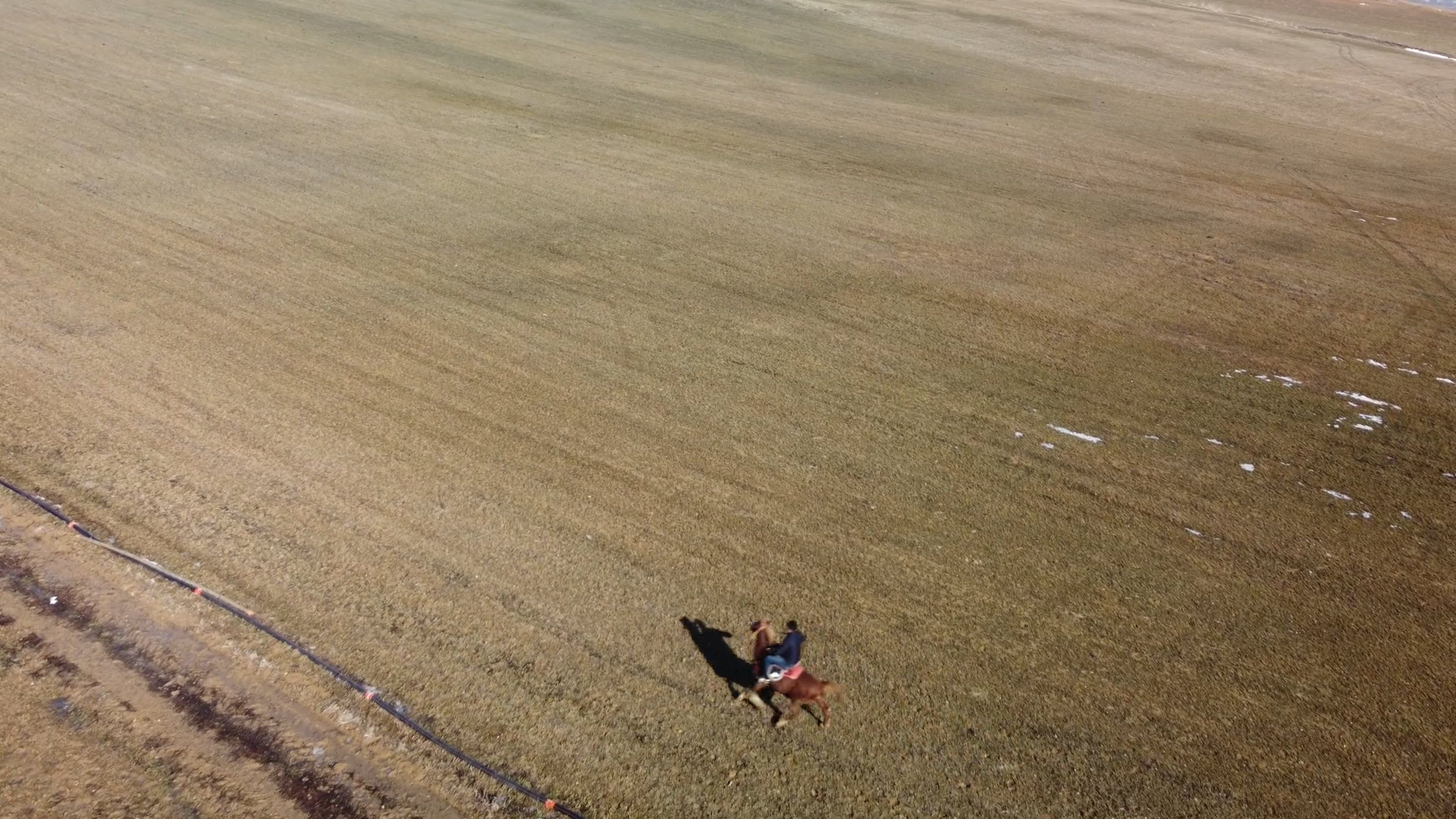 Horse Rider on Field Free Stock Video Footage, Royalty-Free 4K & HD ...