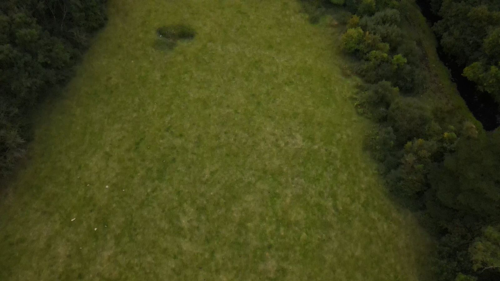 A Drone Footage of a Field With Trees Free Stock Video Footage, Royalty ...