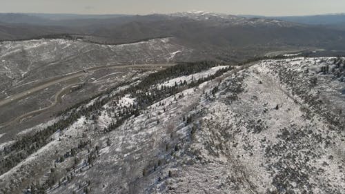 A Snowy Mountain Landscape with Pine Trees