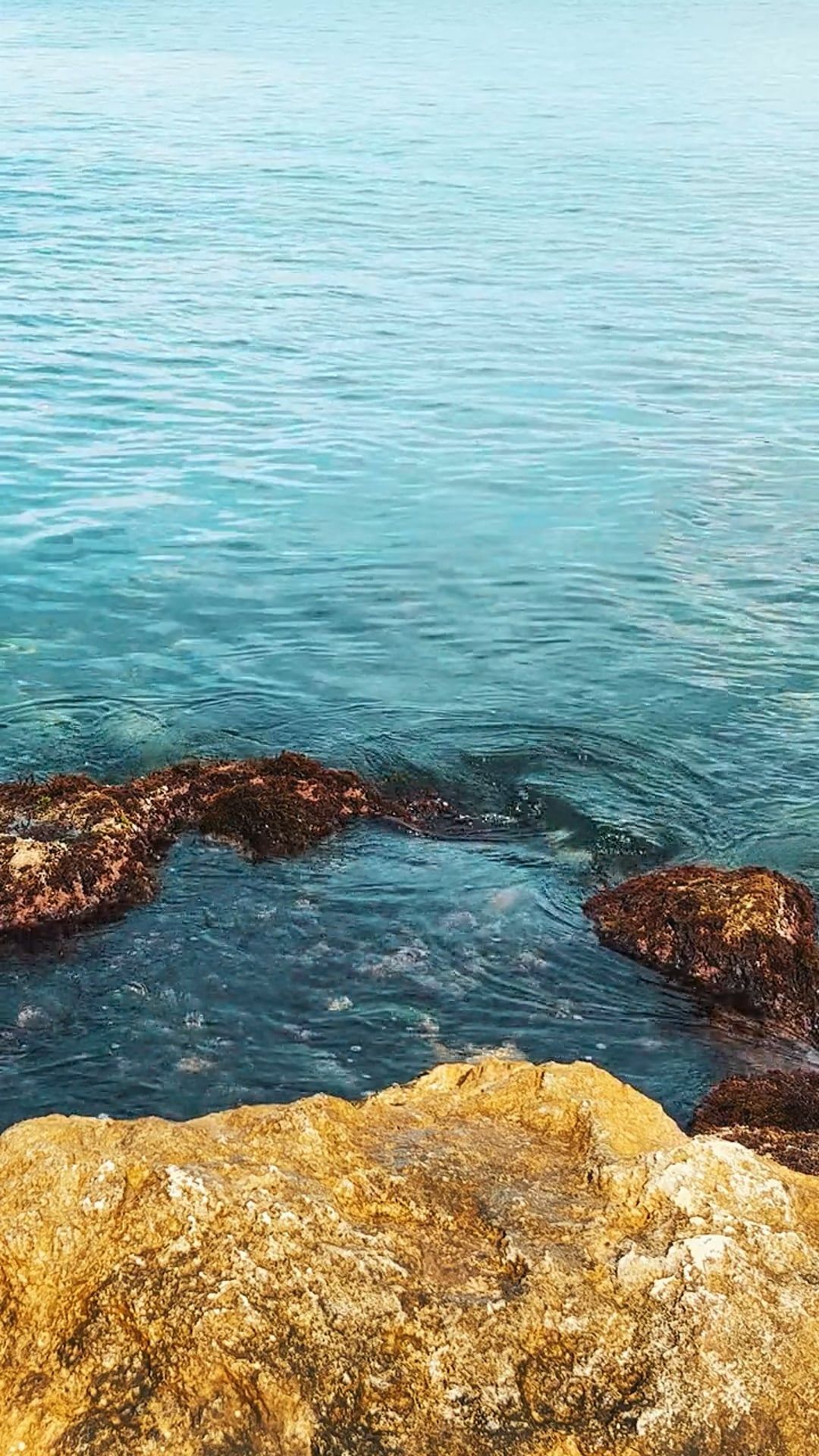 Video by Dmitry Marchenkov