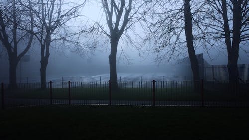 Fog over Basketball Court
