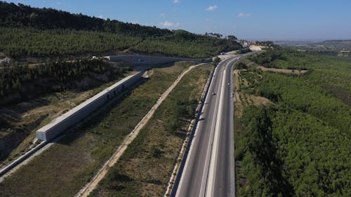 Cars on Freeway