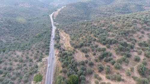 Road Among Hills