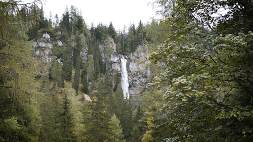 Waterfall in Woods in Slow Motion