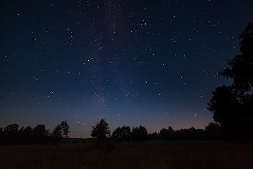 Stars in Night Sky